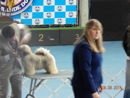 Robert de Niro Lions Amodeo's